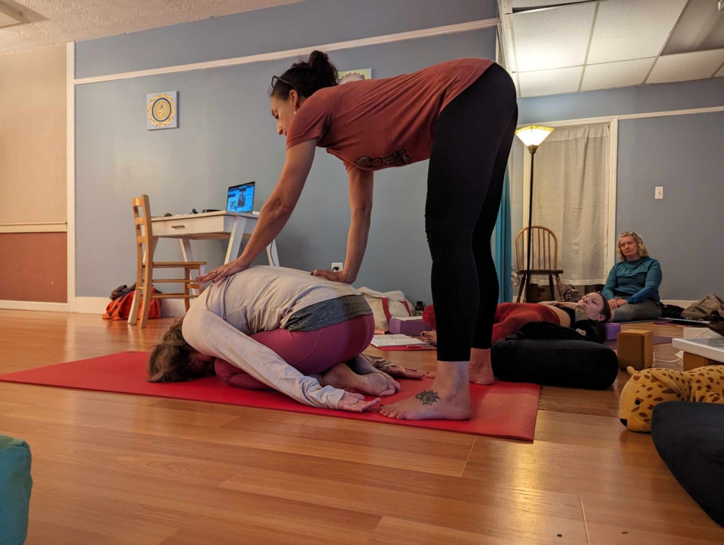 Yoga Teacher Training